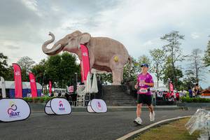 BIB: 
                            <button type="button" onclick="openModal(26528427)" class="btn btn-primary btn-sm float-right btn-popup" data-toggle="modal" data-target=".modal-high-quality">
                        <i class="fas fa-shopping-cart"></i> Add to Cart
                    </button>
                                            <button type="button" onclick="isThisMe(26528427, true)" class="btn btn-success btn-sm float-right btn-popup btn-isme hidden" data-toggle="tooltip" data-placement="bottom" title="นี่คือรูปของคุณใช่ไหม คลิกที่นี่เพื่อเอาเข้าอัลบั้ม">
                        <i class="fas fa-plus"></i> Add to album
                    </button>
                    <button type="button" onclick="isThisMe(26528427, false)" class="btn btn-warning btn-sm float-right btn-popup btn-isnotme hidden">
                        <i class="fas fa-ban"></i> Remove from album
                    </button>